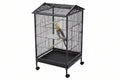 Medium Bird Cage